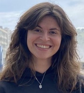 Web system information